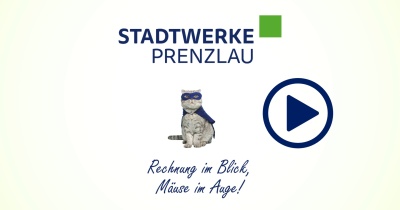 Superheldenkatze erklärt wie das Kundenportal funktioniert